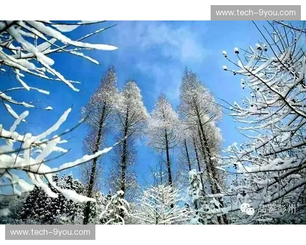 雪色心动：一场滑进冬日梦境的体验